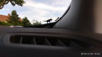 IMG_20180520_193217.jpg