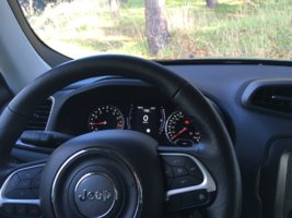 9735D372-D5BC-4C22-8D20-66885595F752.jpeg
