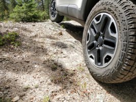 on trail2.jpg