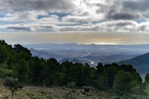 _SEN2318-Editar-2.jpg