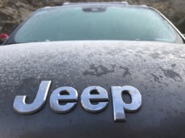 mina capillita Jeep.jpg