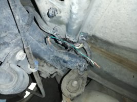 IMG_20200227_102217.jpg