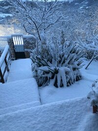 IMG-20230118-WA0011.jpg